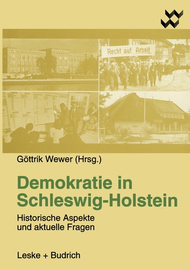 Göttrik Wewer - Demokratie in Schleswig-Holstein, Häftad