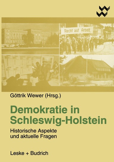 bokomslag Demokratie in Schleswig-Holstein