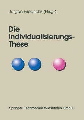 bokomslag Die Individualisierungs-These