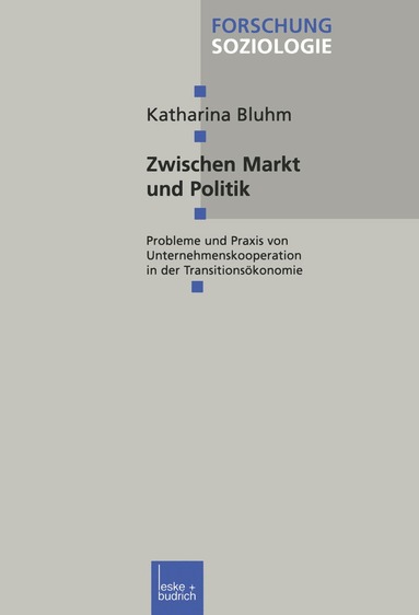 Katharina Bluhm - Zwischen Markt und Politik, Häftad