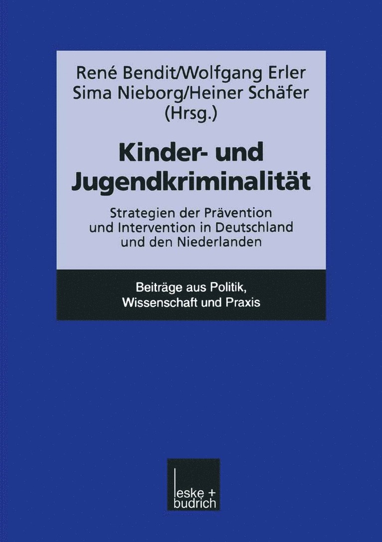 Wolfgang Erler, Sima Nieborg, Heiner Schäfer - Kinder- und Jugendkriminalität, Häftad