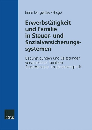 Irene Dingeldey - Erwerbstätigkeit und Familie in Steuer- und Sozialversicherungssystemen, Häftad