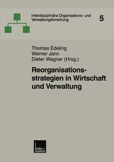 Thomas Edeling, Werner Jann, Dieter Wagner - Reorganisationsstrategien in Wirtschaft und Verwaltung, Häftad