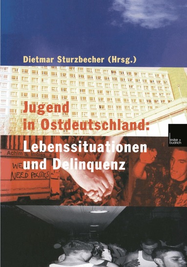 Dietmar Sturzbecher - Jugend in Ostdeutschland: Lebenssituationen und Delinquenz, Häftad
