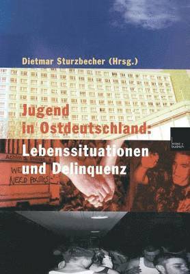Dietmar Sturzbecher - Jugend in Ostdeutschland: Lebenssituationen und Delinquenz, Häftad