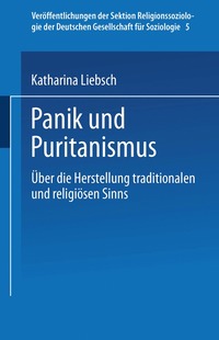 bokomslag Panik und Puritanismus