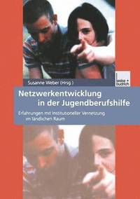 bokomslag Netzwerkentwicklung in der Jugendberufshilfe