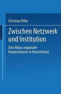 bokomslag Zwischen Netzwerk und Institution