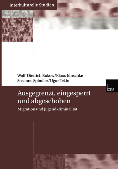 Wolf-Dietrich Bukow, Klaus Jünschke, Susanne Spindler, Ucur Tekin - Ausgegrenzt, eingesperrt und abgeschoben, Häftad