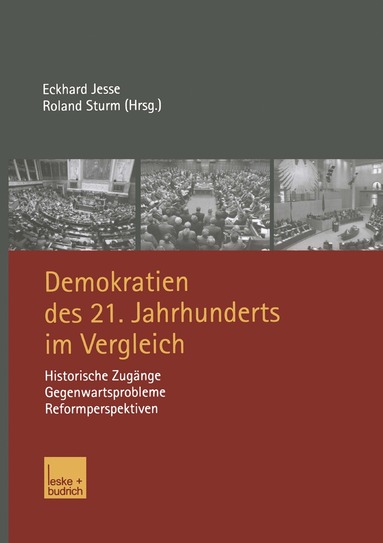 bokomslag Demokratien des 21. Jahrhunderts im Vergleich