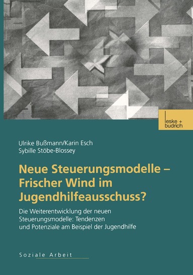 Ulrike Bussmann, Karin Esch, Sybille Stöbe-Blossey - Neue Steuerungsmodelle — Frischer Wind im Jugendhilfeausschuss?, Häftad