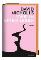 David Nicholls - Zwei in einem Leben, Inbunden