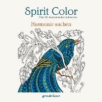 bokomslag Spirit Color: Harmonie suchen