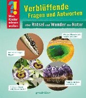 bokomslag Was Kinder wissen wollen: Verblüffende Fragen und Antworten über Rätsel und Wunder der Natur