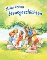 bokomslag Meine ersten Jesusgeschichten