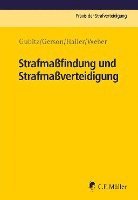 bokomslag Strafmaßfindung und Strafmaßverteidigung