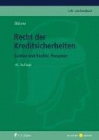 bokomslag Recht der Kreditsicherheiten