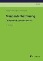 bokomslag Mandantenbetreuung