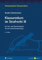 bokomslag Klausurenkurs im Strafrecht III