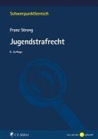 Franz Streng - Jugendstrafrecht, Häftad
