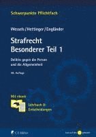 Armin Engländer - Strafrecht Besonderer Teil 1, Häftad