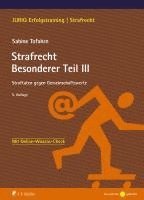 Strafrecht Besonderer Teil III 1