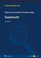 Raimund Waltermann, Benjamin Schmidt, Katja Chandna-Hoppe - Sozialrecht, Häftad