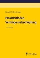 David Ullenboom - Praxisleitfaden Vermögensabschöpfung, Häftad