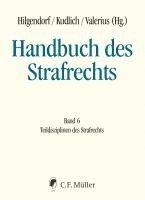 bokomslag Handbuch des Strafrechts 06