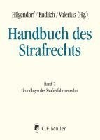 bokomslag Handbuch des Strafrechts 07
