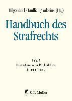 bokomslag Handbuch des Strafrechts 08