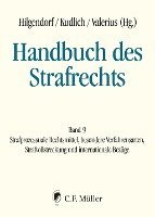 bokomslag Handbuch des Strafrechts Band 09