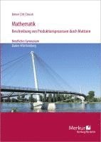 bokomslag Mathematik-Beschreibung von Produktionsprozessen durch Matrizen