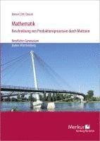 Mathematik-Beschreibung von Produktionsprozessen durch Matrizen 1