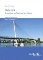 bokomslag Mathematik - Beschreibung von Abbildungen mit Matrizen