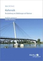 bokomslag Mathematik - Beschreibung von Abbildungen mit Matrizen