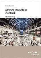 bokomslag Mathematik im Berufskolleg - Gesamtband