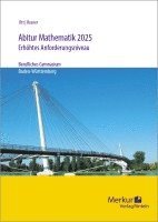 bokomslag Abitur Mathematik 2025 erhöhtes Anforderungsniveau