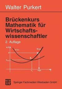 bokomslag Brckenkurs Mathematik fr Wirtschaftswissenschaftler