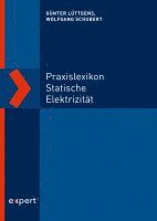 bokomslag Praxislexikon statische Elektrizität