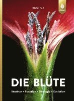 Die Blüte 1