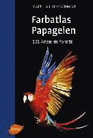 bokomslag Papageien