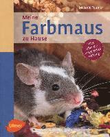 bokomslag Meine Farbmaus zu Hause