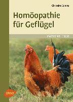 bokomslag Homöopathie für Geflügel