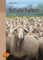 bokomslag Schafe halten