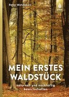 bokomslag Mein erstes Waldstück