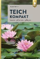 Teich kompakt 1