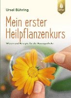 Mein erster Heilpflanzen-Kurs 1