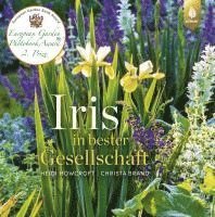 bokomslag Iris in bester Gesellschaft