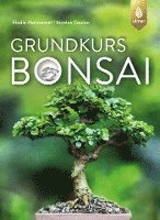 bokomslag Grundkurs Bonsai